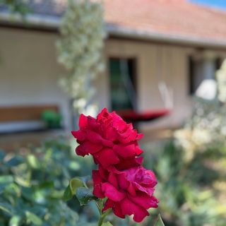 Pihenő Vendégház Abádszalók (5)