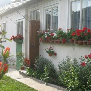 Pensiunea Botár Klára Rimetea (3)