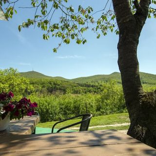 Dombtető Vendégház Sátoraljaújhely (2)