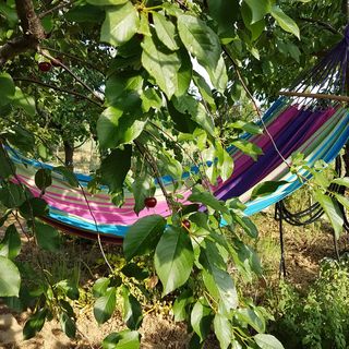 Ginavilla Keszthely (2)