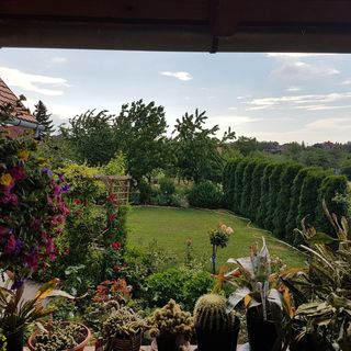 Ginavilla Keszthely (3)