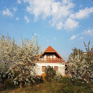 Ginavilla Keszthely (4)