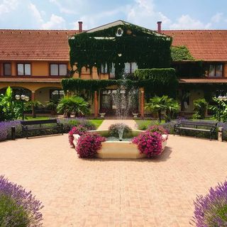 Vinum Wellness és Konferencia Hotel Kiskőrös (5)