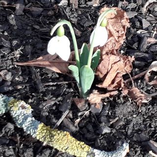 Hello Apartman Sopron (5)