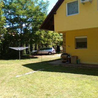 Tulipános Vendégház Kiskunmajsa (3)