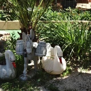 Apartmani Vitrenik Starigrad Paklenica (3)