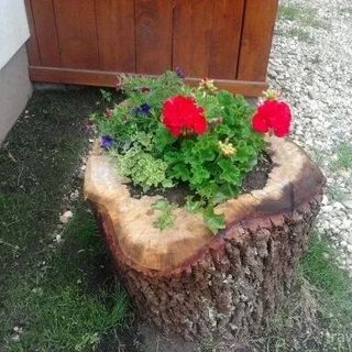 Pensiunea Rita Rimetea (5)