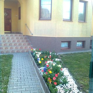 Alba Apartman Székesfehérvár (4)