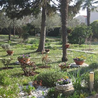 Apartman Irena Puntamika Zadar (5)