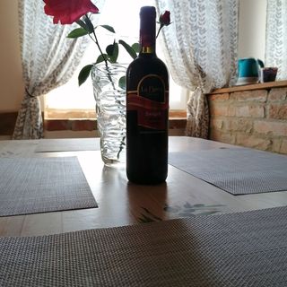 Virág Vendégház Abádszalók (5)