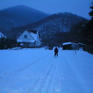 Vadrózsa Vendégház Kishuta (2)