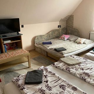 Lilla Apartman Sárvár (4)