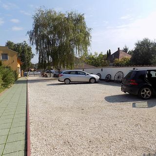 Platán Panzió Nyúl (2)