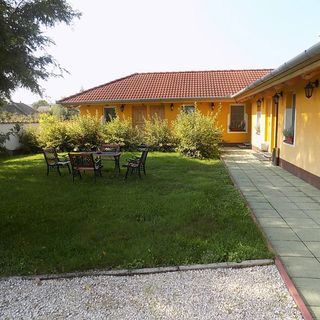 Platán Panzió Nyúl (3)