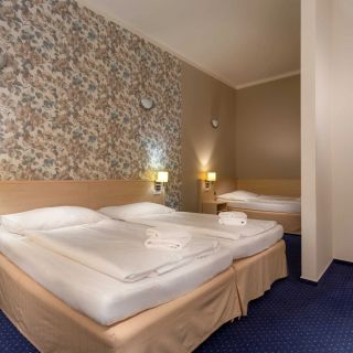 Amande Wine Wellness Hotel Hustopeče (4)