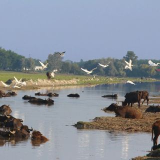 Írisz Apartmanház Mórahalom (5)