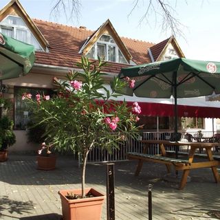 Ludas Fogadó Nagyalásony (2)