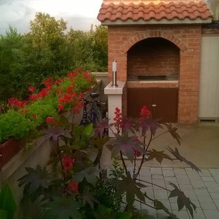 Apartmani Sanja Zaton (5)