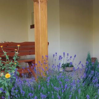 Boglárka Vendégház Nagymákfa Vasvár (5)