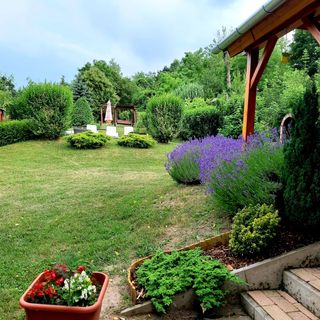 Boglárka Vendégház Nagymákfa Vasvár (4)