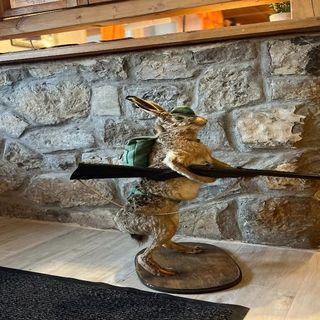 Lenzl's Panzió Szigetvár (4)