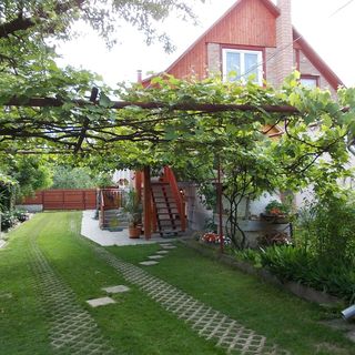 Pensiunea Árpád Cechești (3)