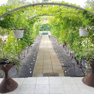 Villa Negra Retro Panzió Balatonföldvár (2)