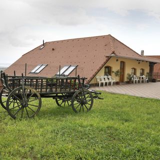 Sárosdi Pince és Panzió Szekszárd (2)