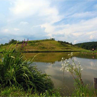 Fruktárium Vendégház Trizs (4)