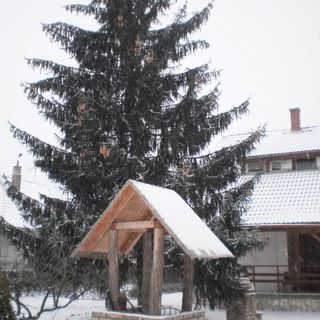 Gyöngy Vendégház Szekszárd (3)