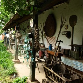 Íjász Tanya Kamut (5)