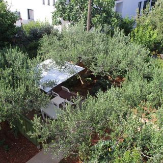 Apartmani Tea Zadar (5)