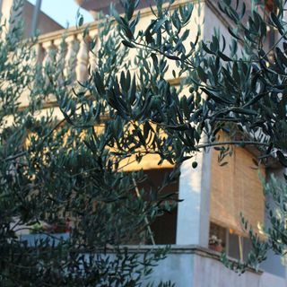 Apartmani Tea Zadar (2)