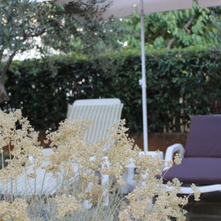 Apartmani Tea Zadar (3)