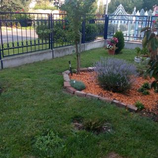 Mokka Vendégház ** Ebes (4)