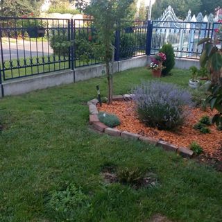 Mokka Vendégház ** Ebes (4)