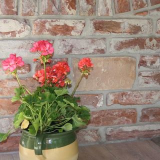 Harmónia Apartmanház Hajdúszoboszló (4)