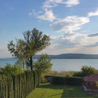 Erdei Apartman Balatonfűzfő (4)