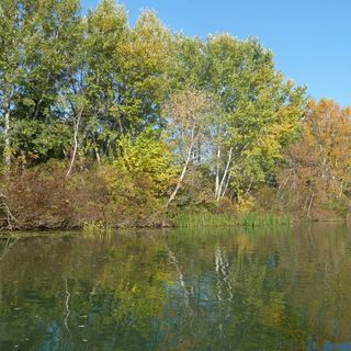 Bence Vendégház Poroszló (3)