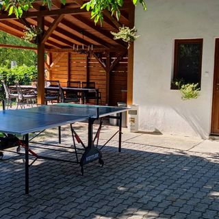 Diófa Vendégház Zamárdi (5)