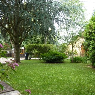 Cédrus Vendégház Balatonboglár (2)