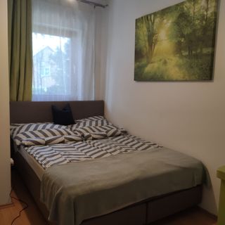 Cédrus Vendégház Balatonboglár (4)