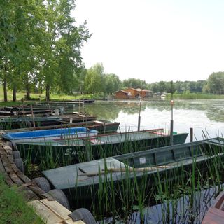 Partifecske Vendégház Tiszafüred (3)