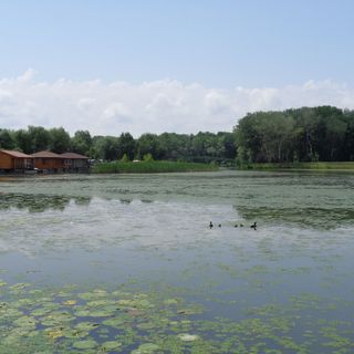 Partifecske Vendégház Tiszafüred (4)