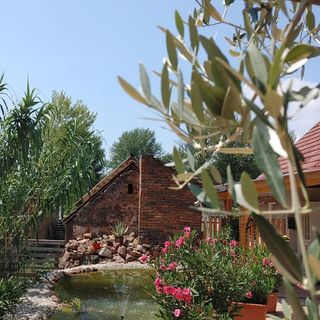 Ro-Zita Vendégház Lovas (4)