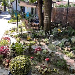 Kertész Vendégház Siófok (5)