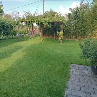 Tiszafa Nyaraló Badacsony (5)