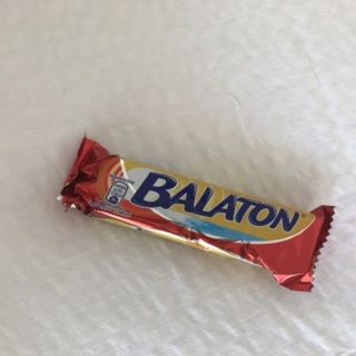 Benedek Lak Balatonföldvár (5)