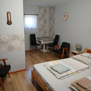 Fűzfa Apartman Ebes (5)