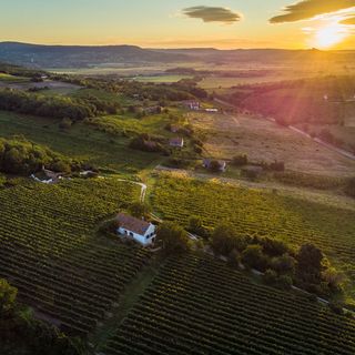 Káli Panoráma Présház Mindszentkálla (2)